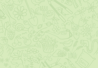 product_bg